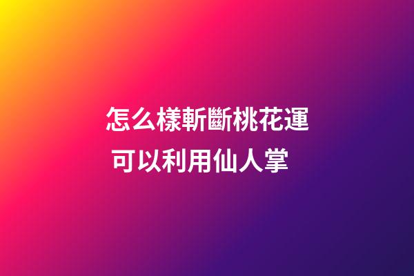 怎么樣斬斷桃花運 可以利用仙人掌